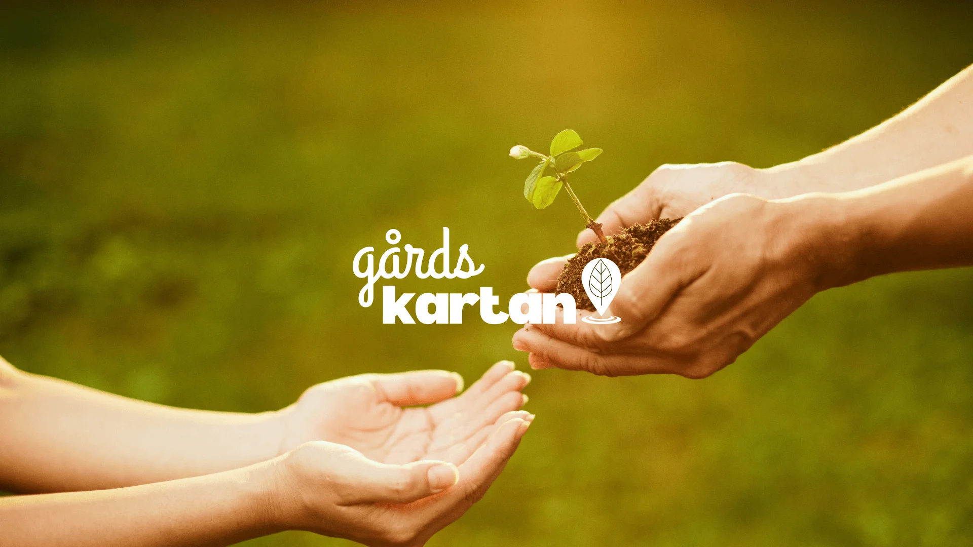 Så bygger du en producentprofil som lockar nya kunder