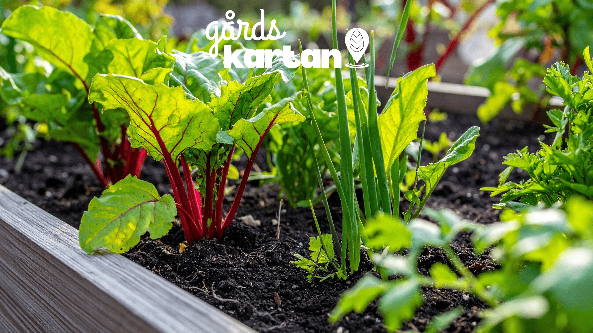 Gårdsbutik vs närproducerat – vad är egentligen skillnaden?