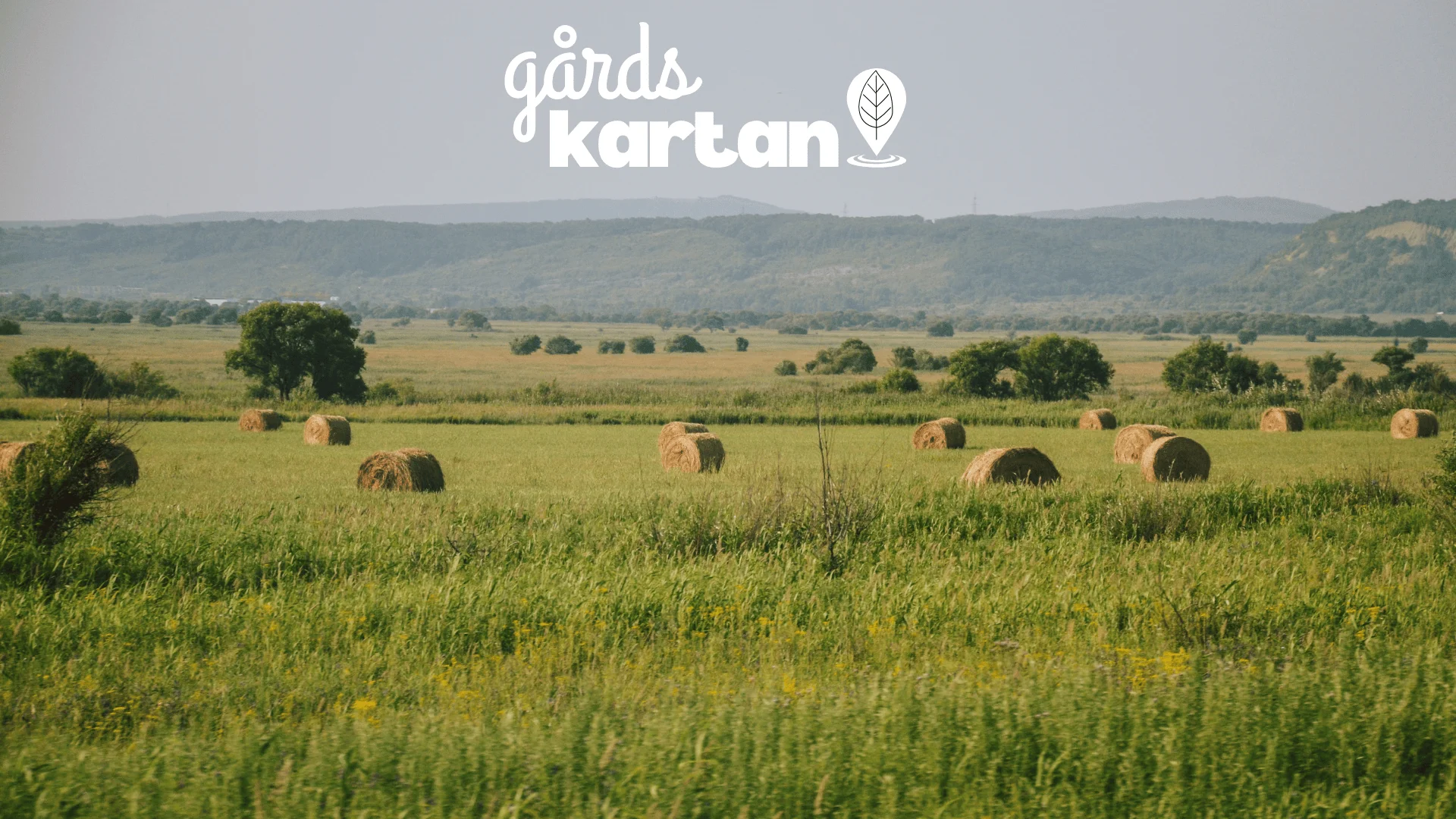 Så marknadsför du din gård och gårdsbutik online